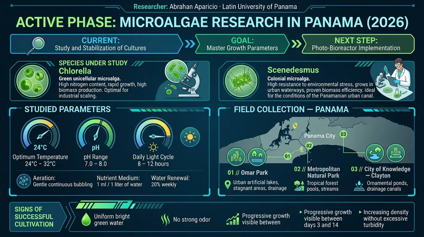 Fase Activa — Investigación de Microalgas
